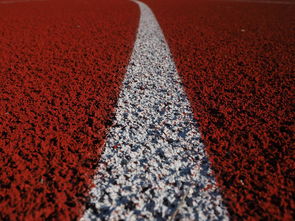 九游娱乐(jiuyou)官网-田径项目专项训练成效显著，田径专项体能训练